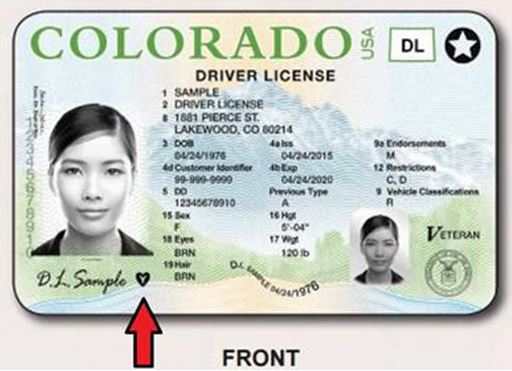 how many points are on my license in colorado