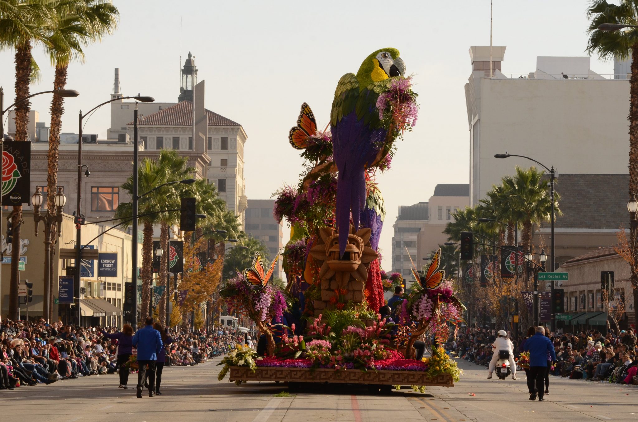 Donate Life Rose Parade Float Donor Alliance