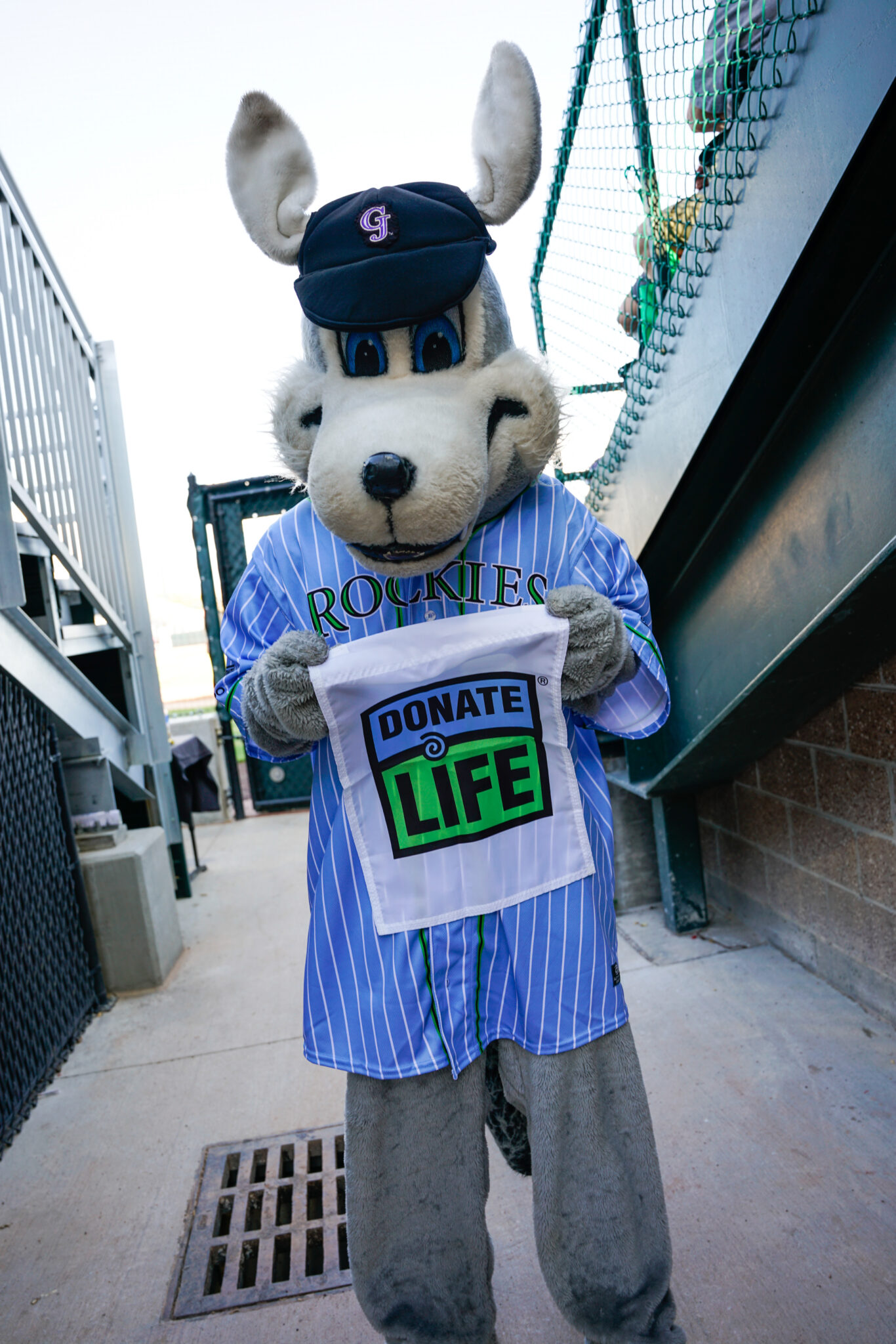 Donate Life Night with the Grand Junction Rockies - Donor Alliance