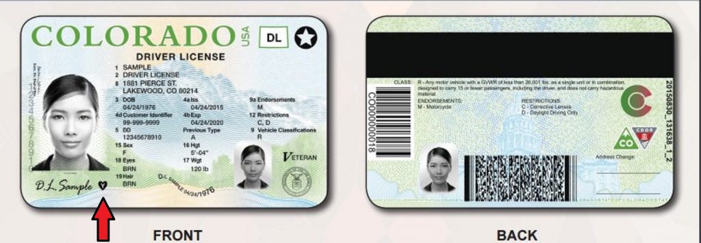 License's. Colorado Driver License. Колорадо водительские права. Drivers License Front and back. Driver License back.